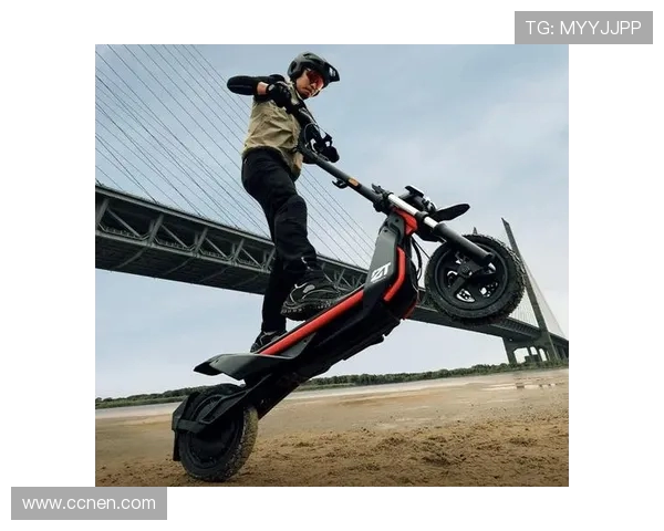 南京滑板队意识形态的深度比较与发展趋势探讨